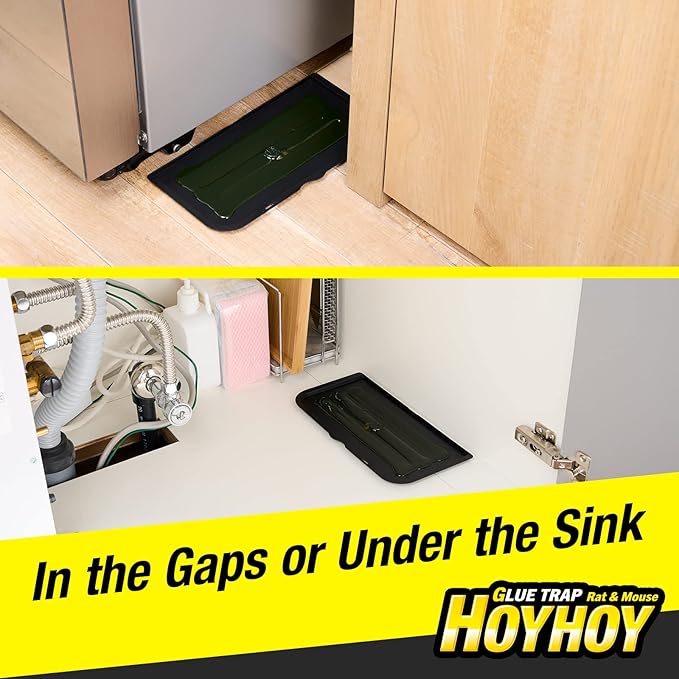 HOY HOY Regular Size Rat & Mouse Indoor/Outdoor Glue Trap (1 Pack)