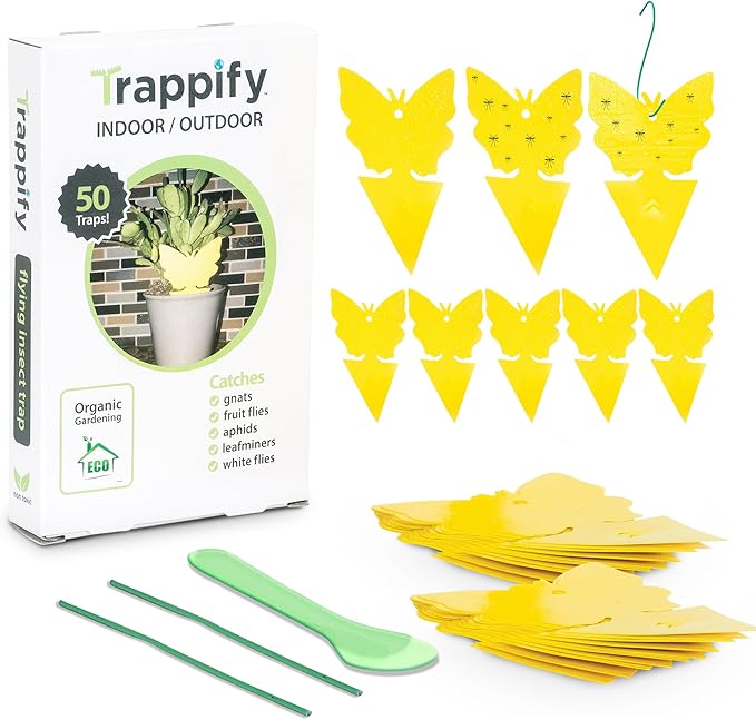 Trappify Sticky Gnat Traps for House Indoor - Yellow Fruit Fly Traps for Indoors|Outdoor Plants | Insect Catcher for White Flies, Mosquitos, Fungus Gnats | Disposable Glue Fly Trap Indoor (50 Pack)