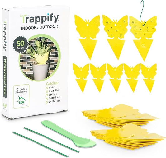 Trappify Sticky Gnat Traps for House Indoor - Yellow Fruit Fly Traps for Indoors|Outdoor Plants | Insect Catcher for White Flies, Mosquitos, Fungus Gnats | Disposable Glue Fly Trap Indoor (50 Pack)