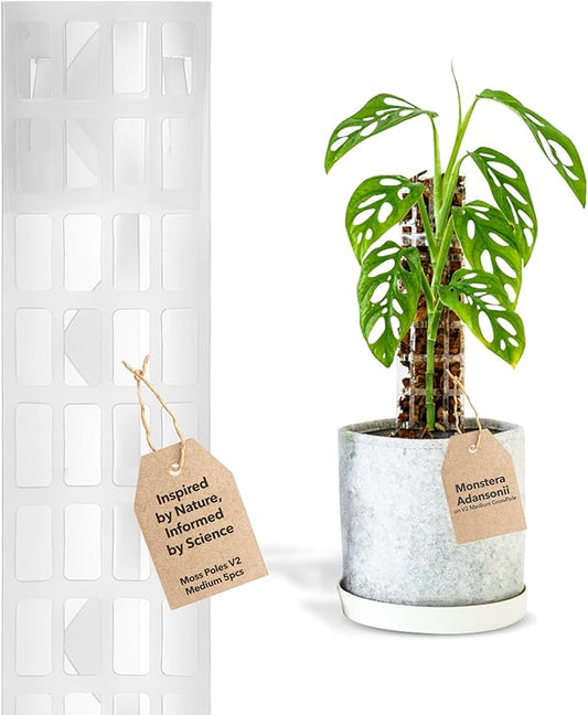 V2 Medium GrowPole - Stackable Plastic Moss Poles for Climbing Plants, Monstera Plant Support-Plant Climbing Pole, DIY Plant Sticks Support. Works for Philodendron and Anthuriums - 5 Pcs