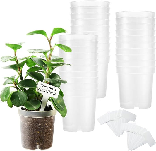 30 Pcs 3.5 Inch Clear Nursery Pots for Plants, Transparent Plastic Plant Pots with Drain Holes, Seed Starter Pots with 20 Plant Labels for Flowers Vegetable Seedlings