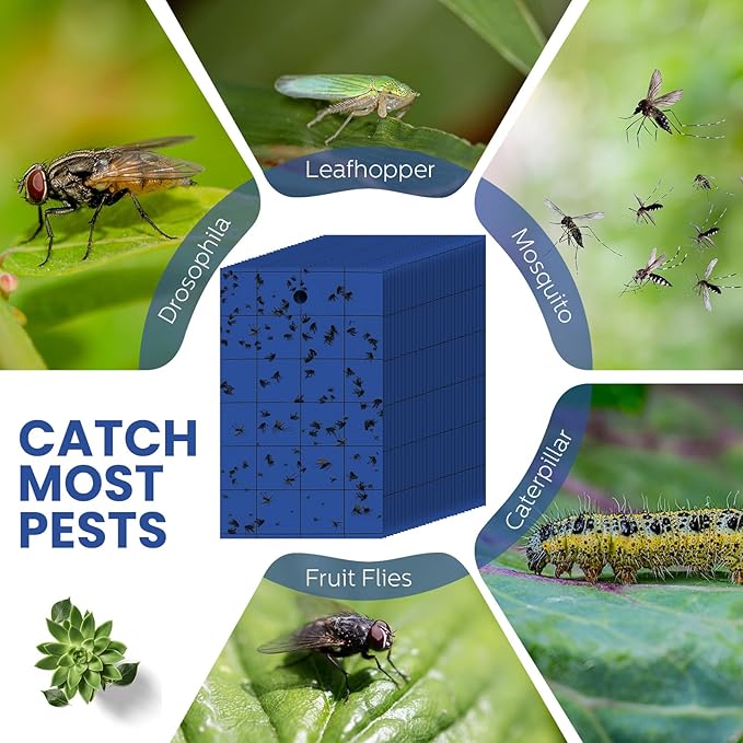 Qualirey 100 Pcs Sticky Trap for Gnats 3 x 5'' Dual Side Sticky Fruit Fly Trap with Tie Plant Sticky Trap for Flying Insect Fungus Bugs Flying Sticky Trap Sticky for Indoor (Dark Blue)