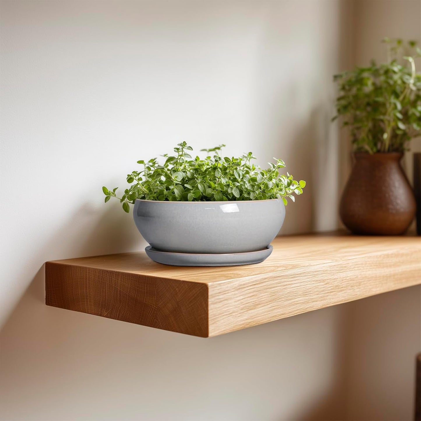 SQOWL Succulent Planters 6 Inch - Ceramic Bonsai Pots with Drainage Hole and Saucer, Shallow Planter for Indoor Plants Outdoor, Round Ceramic Pots for Plants Cactus, Room Decor, Garden Gifts, Gray