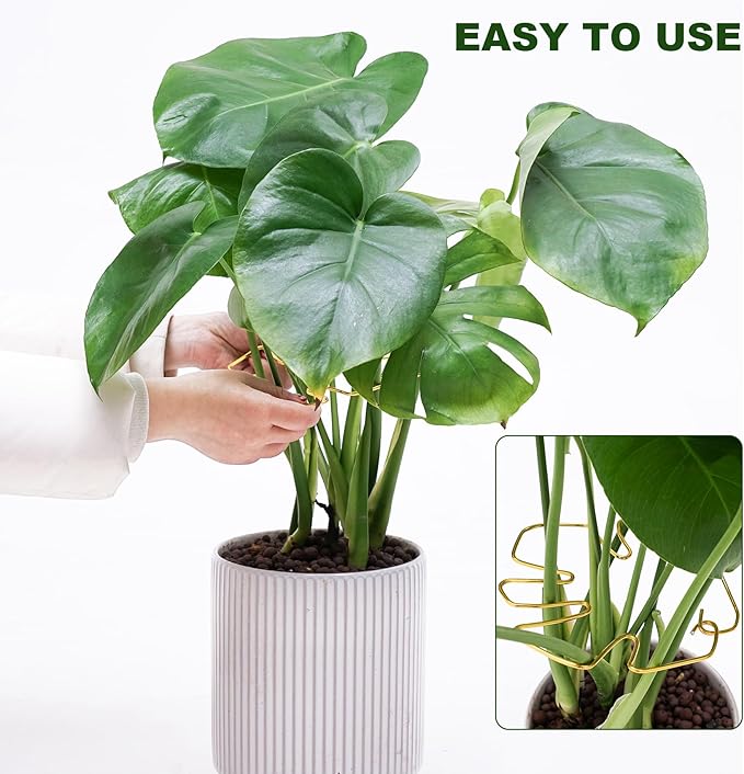 6PCS Monstera Plant Stem Support , Monstera Stabilizer Grapple Holder Unique Design for Turtle Shell Bamboo Clamp Set, Ideal Plant Support Stakes for Thriving Growth Indoor Climbing Plant (Gold)