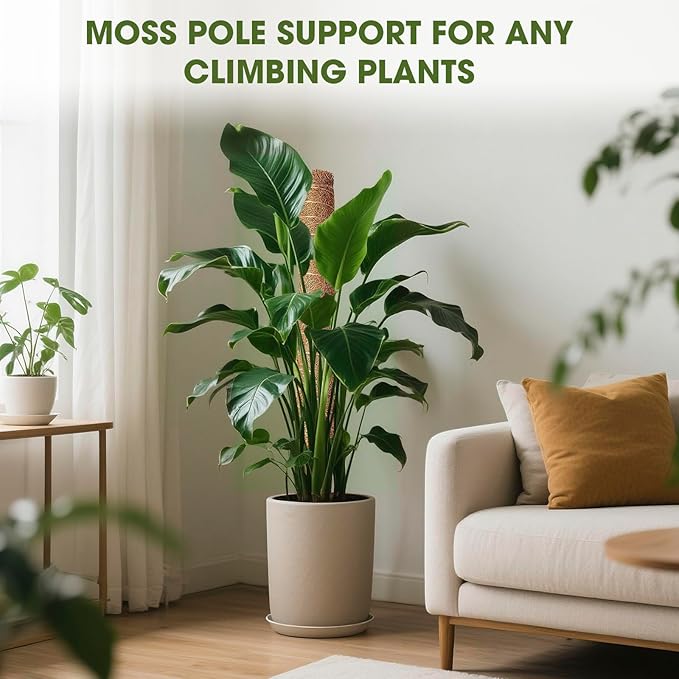 4 Pcs 21 Inch Moss Pole Monstera Plant Support, 68 Inch Moss Poles for Climbing Plants, Coco Coir Plant Stakes Support for Indoor Plants Moss Pole Sticks for Climbing Potted Live Plants, Philodendron