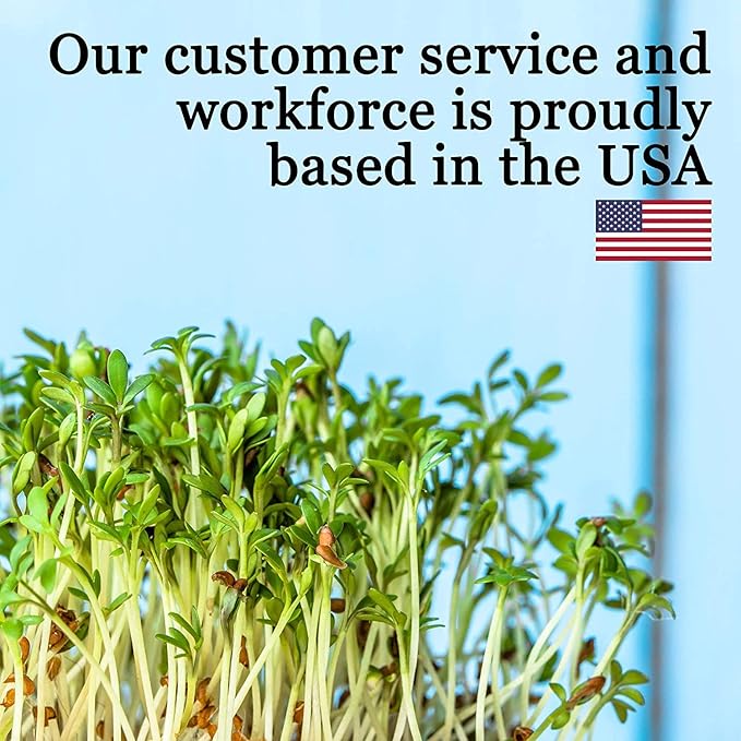 10" x 10" Garden Growing Trays with Drain Holes - 10-Pack Recyclable Plastic Plant Trays for Wheatgrass Sprouting Tray, Microgreens Growing Trays, Hydroponic Trays, Nursery Flats, Greenhouse Supplies