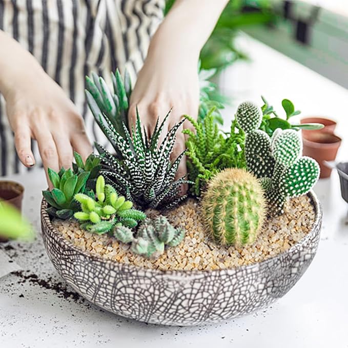 Granule Silica Sand - 10LB- Gravel for Plants - Horticultural Sand - Small Sharp rocks for Plants Bonsai Cactus & Garden Sand Grit - Terrarium and Plant Sand Soil Gardening Landscape Succulent Stones