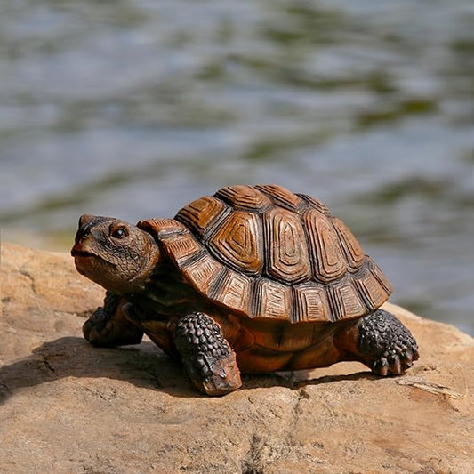 AETVRNI Turtle Figurine Garden Statue Resin Animal Sculpture Realistic Turtle of Polyresin Garden Patio Lawn Yard Outdoor Decorative,M