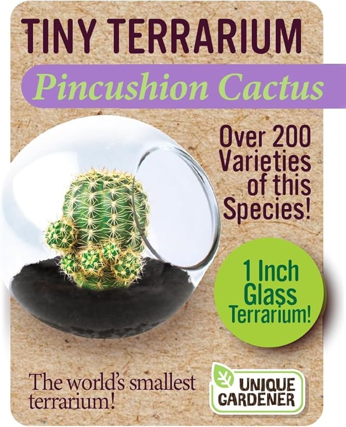 Tiny Terrarium Plant Seeds 6 Variety Cacti Pack, DIY Indoor Succulents and Live Plants for Home or Garden Planting, Assorted Cacti Pack