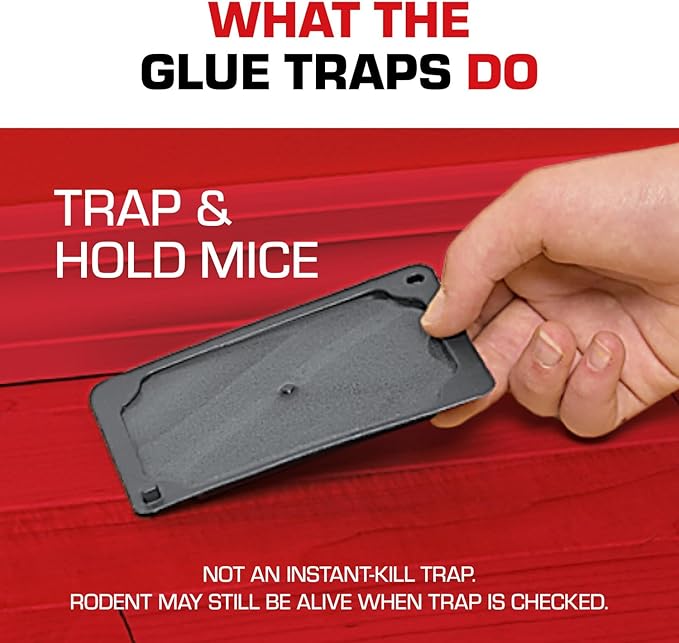 Tomcat Mouse Trap with Immediate Grip Glue for Mice, Cockroaches, Spiders, and Scorpions, Ready-To-Use, 4 Traps