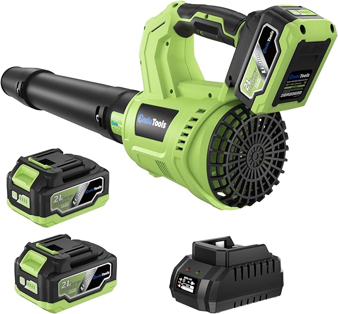 Leaf Blower Cordless - 650 CFM 150 MPH Electric Leaf Blower with 2 x 4.0Ah Batteries & Fast Charger, 2-Speed Settings, Lightweight Blower for Lawn, Yard, Leaves, Dust, and Snow Care (Green)