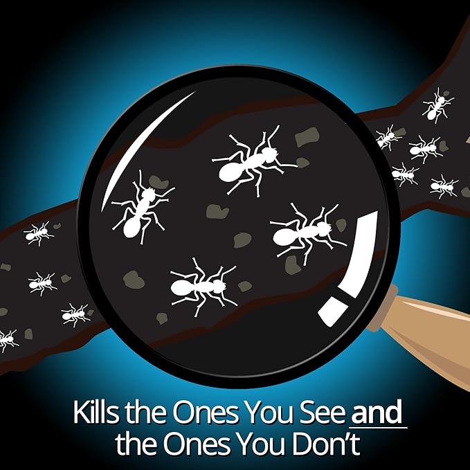 Combat Indoor and Outdoor Ant Killing Gel, 27 Gram (Pack of 12)