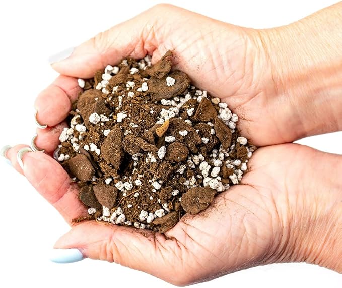 Soil for Indoor Herb Planters - Blended Soil for Growing Kitchen Herbs - 5 Quart Bag