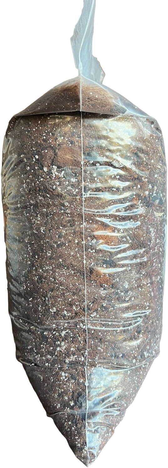 Hoya Classic Potting Soil - rePotme Houseplant Potting Soil Mix (Standard Bag - 8 Quarts)