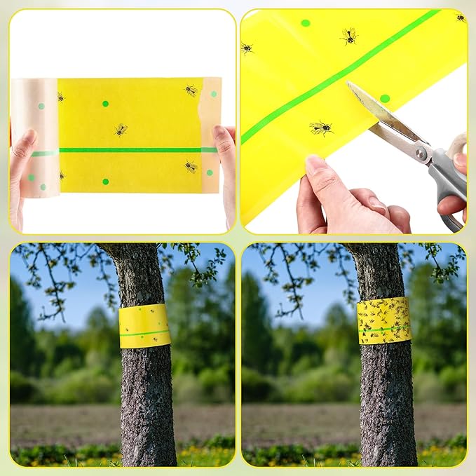 Qualirey 6 Rolls Spotted Lantern Fly Traps 30 Feet Each Roll Fly Tree Trap Sticky Strips Outdoor Fruit Glue Strips Disposable Tape Indoor Paper Sheets for Protecting Trees(Classic Color)