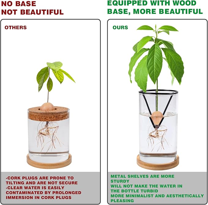 Bylion Avocado Tree Growing Kits, Avocado Growing Vase Wooden Base Avocado Seed Starter Vase Glass Plant Pot Easy Seed Sprout Starter Gift for Women Gardening Lovers Home Office Table Decoration