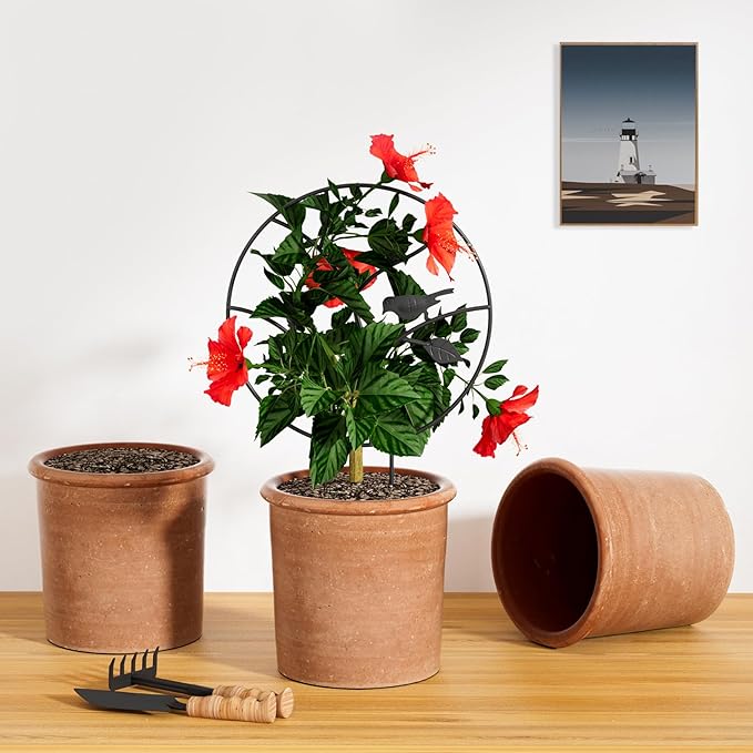 Indoor Plant Trellis for Climbing Plants, Small Garden Trellis for Potted Plant Support Outdoor, Round Circle Trellis with Bird, 2 Pack Small Houseplant Metal Wire Trellis for Vine Ivy