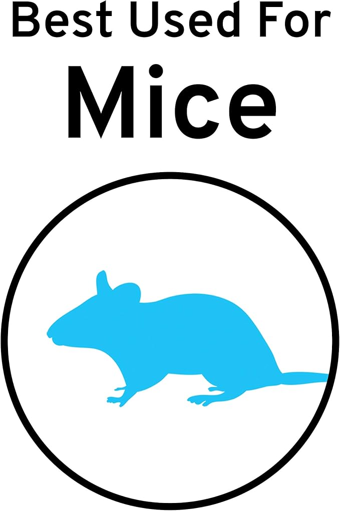 Victor M123SSR Quick-Kill Easy Set Mouse Trap - 6 Reusable Mouse Traps (Pack of 6)