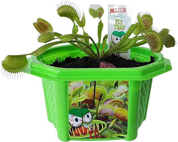 Toys By Nature Character Micro Micro Dome Terrariums Starter Kit, Complete Terrarium Supplies Included, Beginner-Friendly Plant Lovers, Fred The Ferocious Flytrap