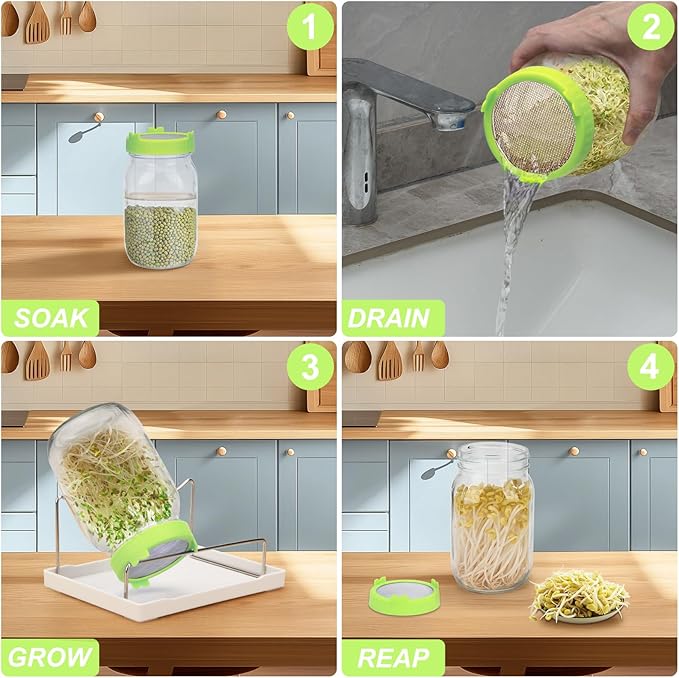 Lulonpon Sprouting Kit, 2 Sprouting Jar Kits, Wide Mouth Quart Mason Jars with Stainless Steel Screen Sprout Lids,1000ml Sprouts Growing Kit, Seed Sprouter Set for Growing Broccoli, Bean, Alfalfa ﻿