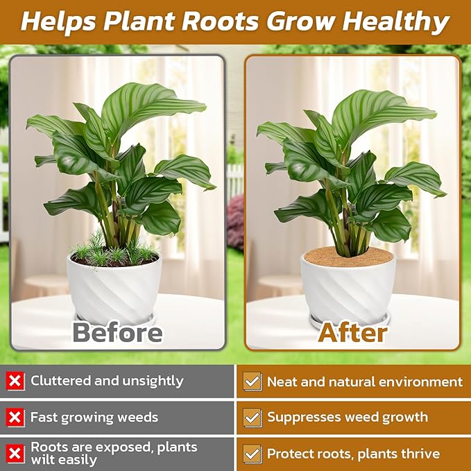 Legigo 10pcs Coconut Fiber Mulch Ring Tree Plant Protector Mat, 11.8 Inch Natural Coco Coir Tree Protection Ring Plant Pot Soil Cover, Tree Rings Disc Plant Cover for Indoor Outdoor Plants,Landscaping