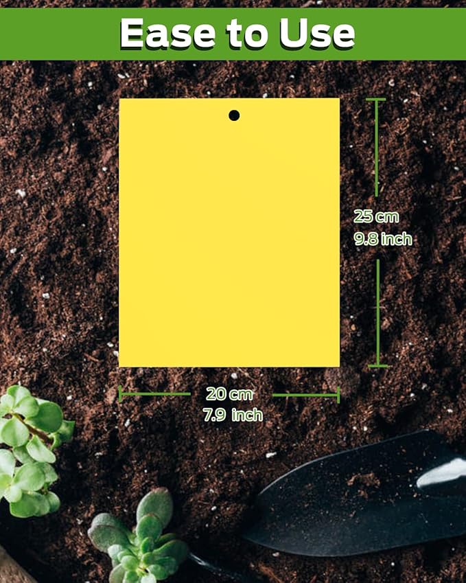 Gnat Sticky Traps for Plants, Plant Bug Sticky Traps Indoor/Outdoor, with Gardening Gloves for Women, 25PCS, Non-Toxic, Odorless, Harmless to Vegetables, Fruits, Plants