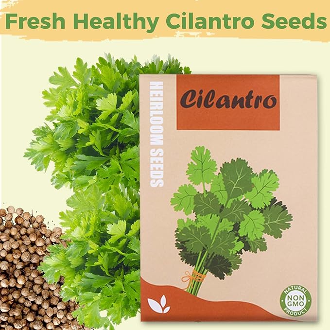 Cilantro Seed Pods Kit Hydroponic - Refill Herb Pod for All Indoor Garden, 8 Grow Pods with Seeds of Cilantro, Compatible with All Hydroponics Growing Systems