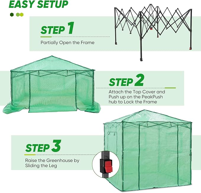 EAGLE PEAK 7x7 Pop up Greenhouse Portable Walk-in Outdoor Gardening Green House with 2 Foldable Shelves, Roll-up Zipper Entry Door and 3 Mesh Windows, PE Cover, Green/Clear