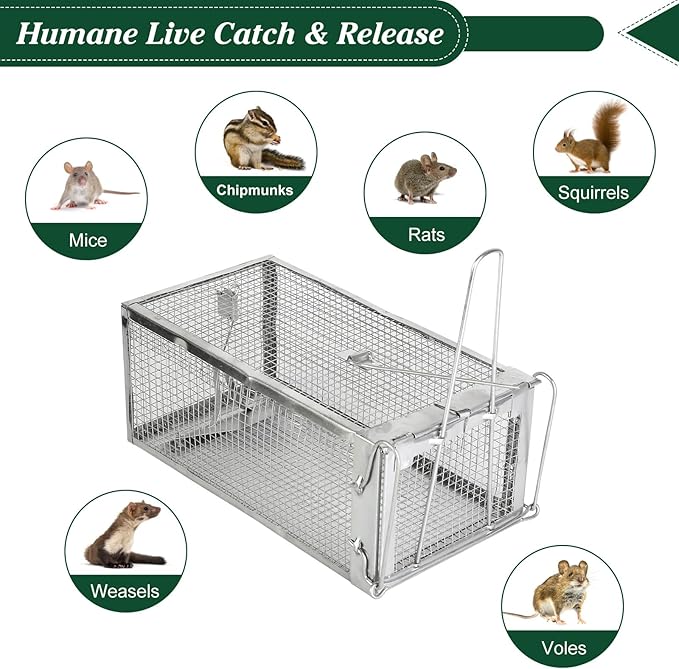2 Pack Humane Rat Trap, Metal Mouse Cage Traps and Other Small Live Animals Cage, Easy to Catch and Release, Work for Indoor Outdoor