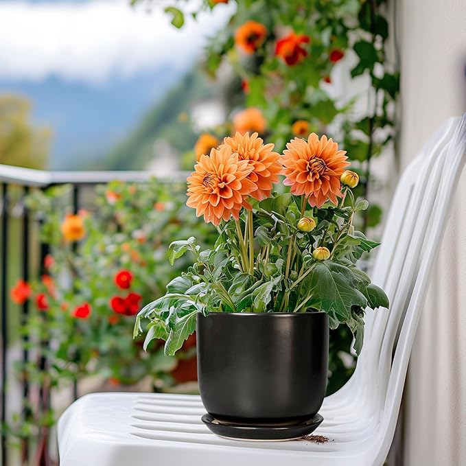 Ceramic Pot for Plants 5 Inch - Modern Round Indoor Planter for Cactus Succulent Plants with Drainage Hole and Saucer, Home Room House Office Decor, Black