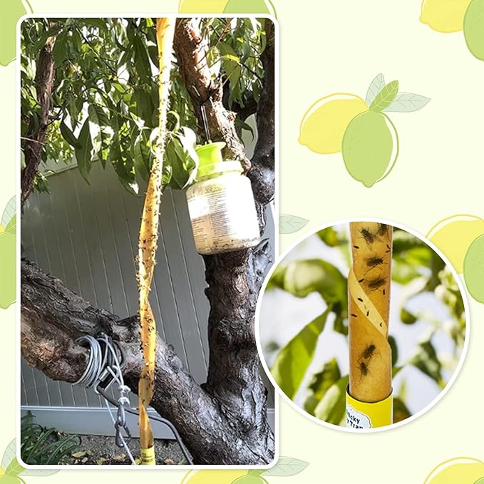 Dwcom 40 Packs Fly Strips, Fly Traps Indoor/Outdoor for Home Hanging, Fly Ribbon Tape Paper, Sticky Gnat Killer Traps Catcher for Fruit Flies, Bug, Insect, Pest, Mosquito, Plant