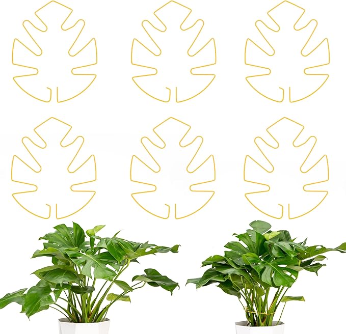 Monstera Plant Support 6-Pack - Durable Iron Clamps with Turtle Shell Design, Plant Supports for Indoor Plants & Climbing Vines, Healthy Growth & Leaf Stabilization