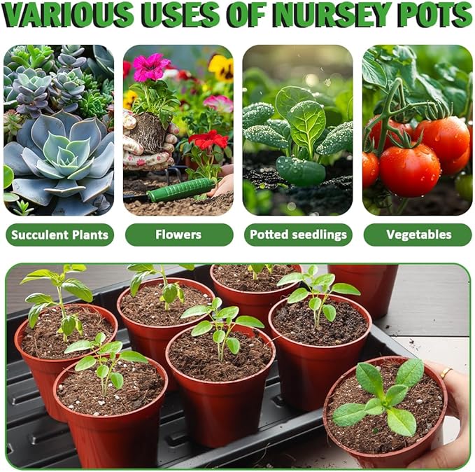 50 Pack 3.3 Inch Plastic Plant Nursery Pots, Seedling Pots with Drainage Holes, Seed Starting Pots, Small Plant Pot for Planting Flowers Indoor Outdoor, Red