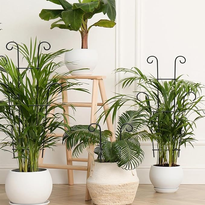 4 Pack 23 Inch Indoor Plant Trellis for Potted Plants - Black Metal Garden Trellis for Climbing Plants, Rustproof Support for Hoya, Pothos, Ivy & Flowers