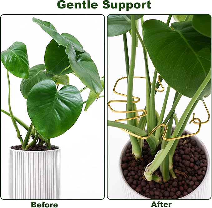 6PCS Monstera Plant Stem Support , Monstera Stabilizer Grapple Holder Unique Design for Turtle Shell Bamboo Clamp Set, Ideal Plant Support Stakes for Thriving Growth Indoor Climbing Plant (Gold)