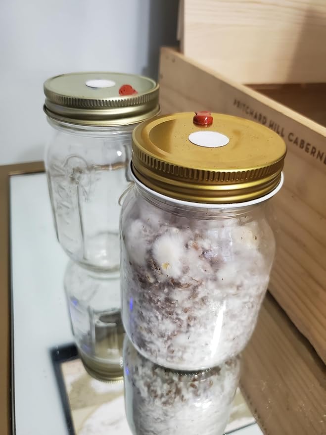 5 Pack Oyster Mushroom Liquid Cultures Starter Pack - Black Oyster, Blue Oyster, King Blue Oyster, Pearl Oyster, & Pink Oyster