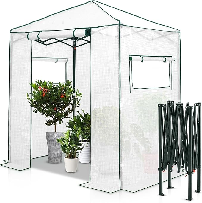 EAGLE PEAK Instant Pop-up Greenhouse, Indoor Outdoor Plant Gardening Green House, Roll-Up Zipper Doors and Side Windows, Walk in 6x4 ft, PE Cover, White/Clear