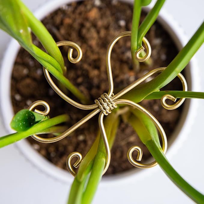 5Pcs Monstera Plant Stem Support Hook (2.75x2.75 inches) - Durable Metal Stem Support for Monstera & Fishbone Cactus, Easy Installation, Ideal Gift for Plant Lovers & Home Decor