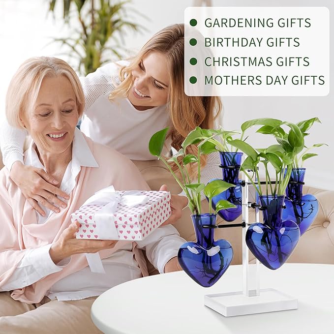 Plants Propagation Stations Plant Terrarium Kit Gift for Women Birthday Glass Planters for Indoor Plants Home Office Decor Acrylic Plant Accessories - 4 Love Hear Vase