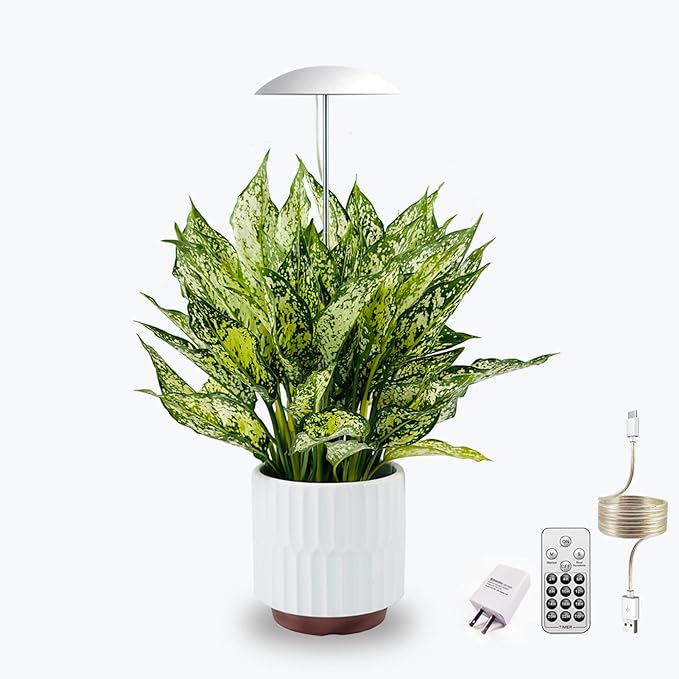 LED Grow Lights for Indoor Plants, Smart USB Small Full Spectrum Plant Lights with Remote, Height Adjustable, Auto On/Off Timer, Ideal for Home Decoration