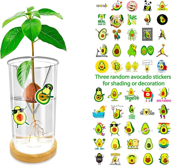 Avocado Seed Starter Vase - Avocado Tree Growing Kit with Base and Sticker, Glass Avocado Pit Sprouting Plant Pot Gift for Women, Gardening Lovers Home Office Table Decoration, Indoor No Seed