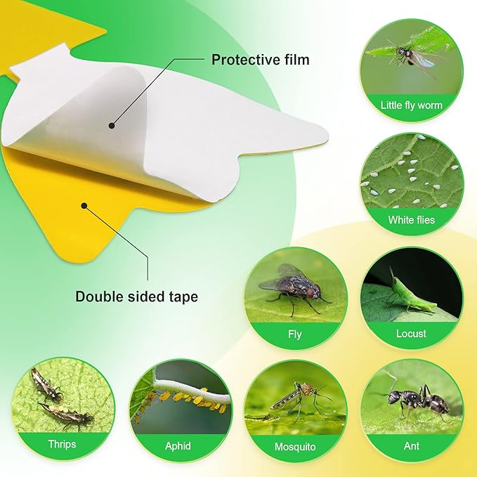 36 Pcs Combo Sticky Traps for Fungus Gnat (Plants), Flying Insect, Whitefly and Fly, Yellow Sticky Insect Catcher Traps for Indoor/Outdoor, Kitchen, and Plants, High-End Glue, Non-Toxic, 5 Shapes