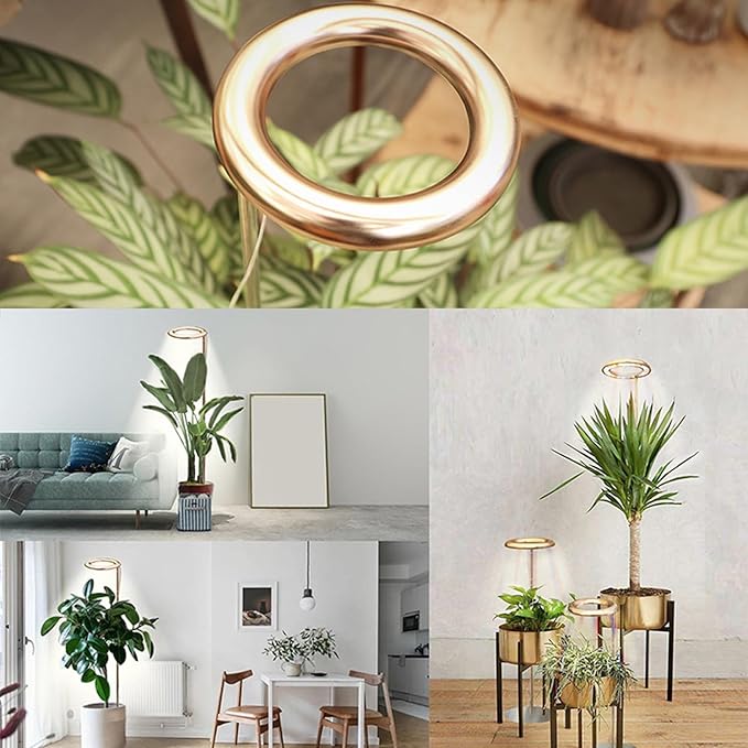 JCBritw LED Grow Light Floor Standing Adjustable Plant Lamp on Stand for Indoor Plants Dimmable with Timer Function