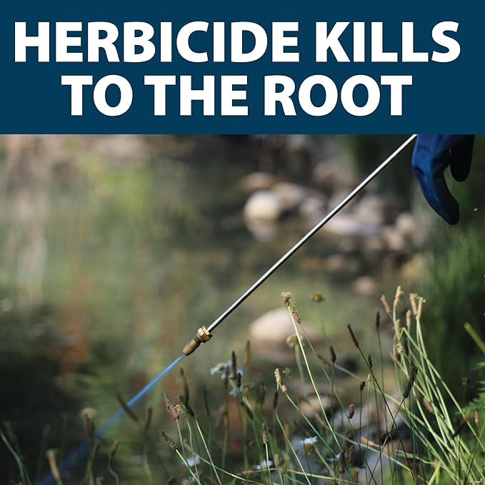 Airmax Shoreline Defense Emergent Weed Control Concentrated Treatment, Aquatic Herbicide (Glyphosate) for Phragmites, Pond Grass & Cattails, 1 Quart