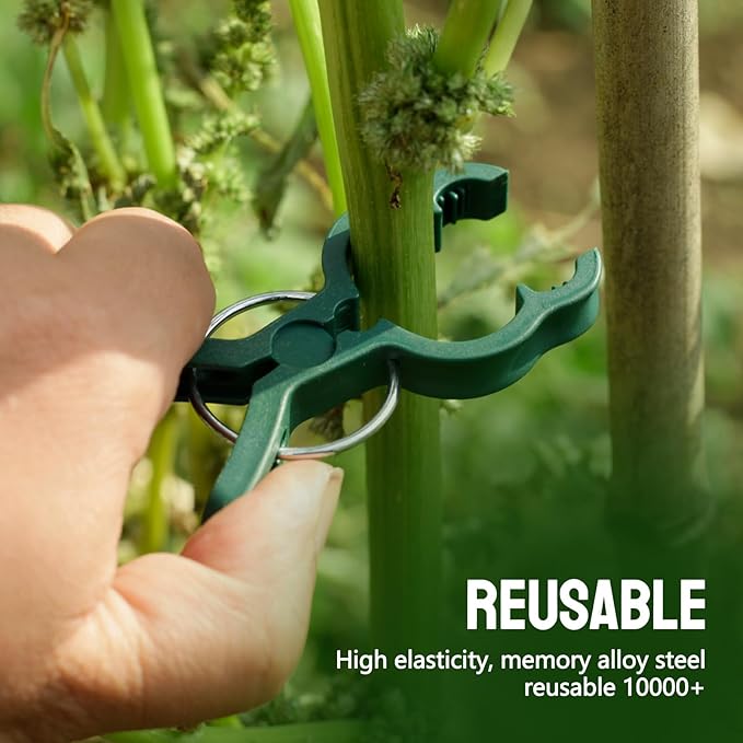 20 Pcs Plant Clips, 2 Sizes Trellis Clips In One Pack, Gentle Flower Plant Clamps For Supporting Climbing Plants, Plant Support Clips For Gardening Help Stems Vine Grow Straight Upright