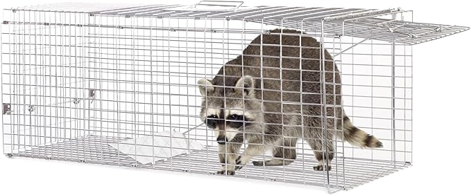 Animal Traps,Live Animal Trap for Cats,Raccoons,Rabbits,cat Trap for Stray Cats,Live Traps for Raccoons,Steel Foldable with Pedal Triggers (37.2 x 13 x 14.37 inches)