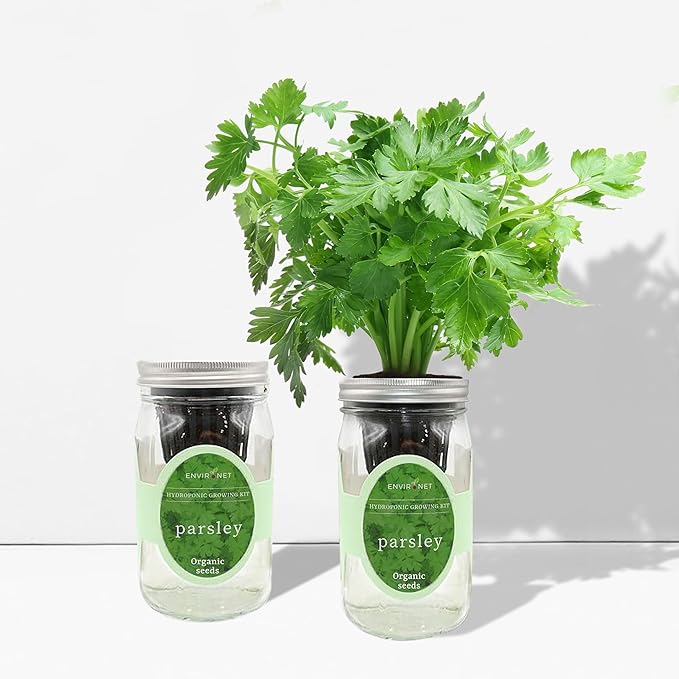 Hydroponic Herb Growing Kit, Self-Watering Mason Jar Herb Garden Starter Kit Indoor, Windowsill Herbs Garden, Grow Your Own Herbs from Organic Seeds (Parsley)