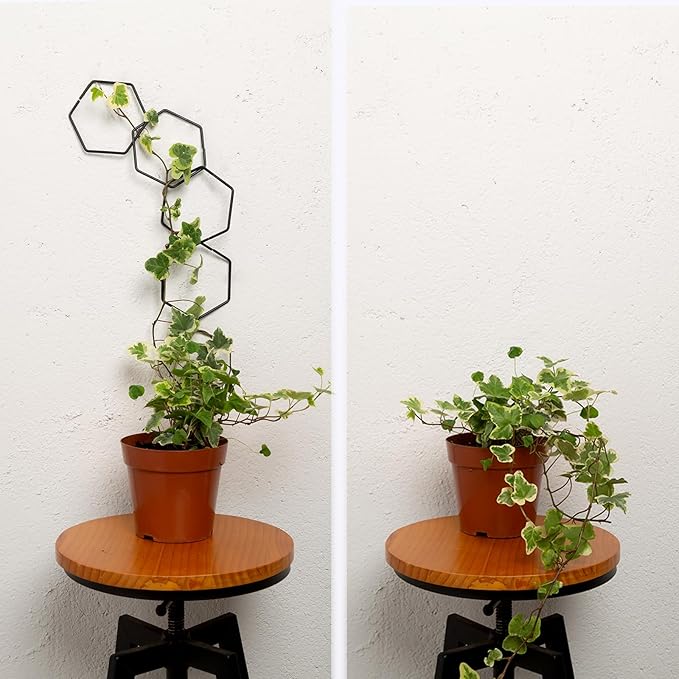 17PCSMetal Hanging Trellis for Pothos Plant Climbing Support | Vine Wall Lattice for Indoor and Outdoor Garden | House Accessories for Climbing Plants | Small Metal Trellis for Lattice Support