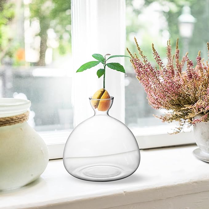 Avocado Tree Growing Kit,Avocado Seed Starter Vase,Glass Plant Pot with Avocado Stickers,Plant Indoor Grow Gardening Gifts