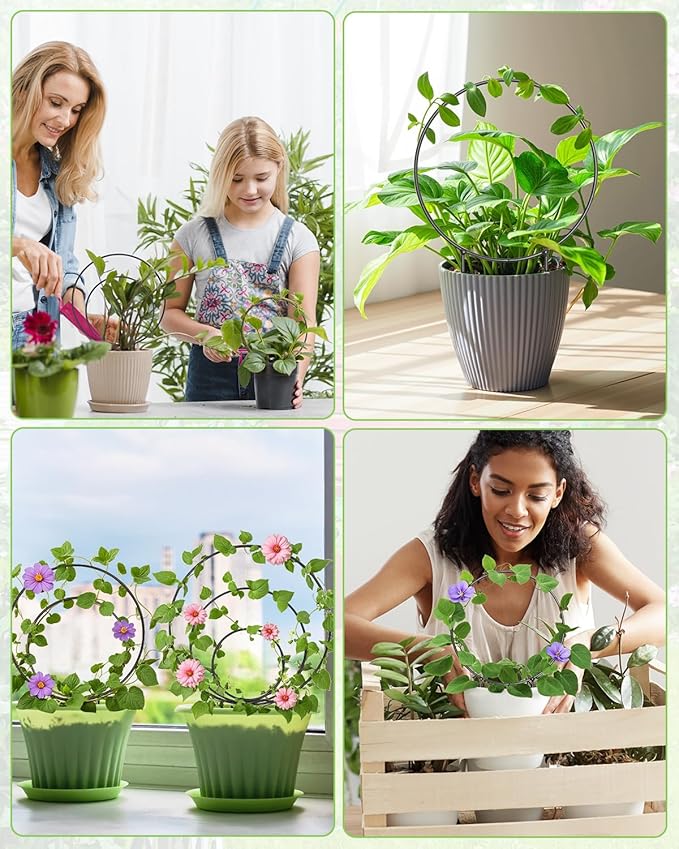 3 Pcs Different Sizes Metal Hoya Trellis, Small Round Indoor Plant Trellis for Potted Plants Climbing, Black Unique Houseplant Trellis for Vine Ivy Flower Plant Support